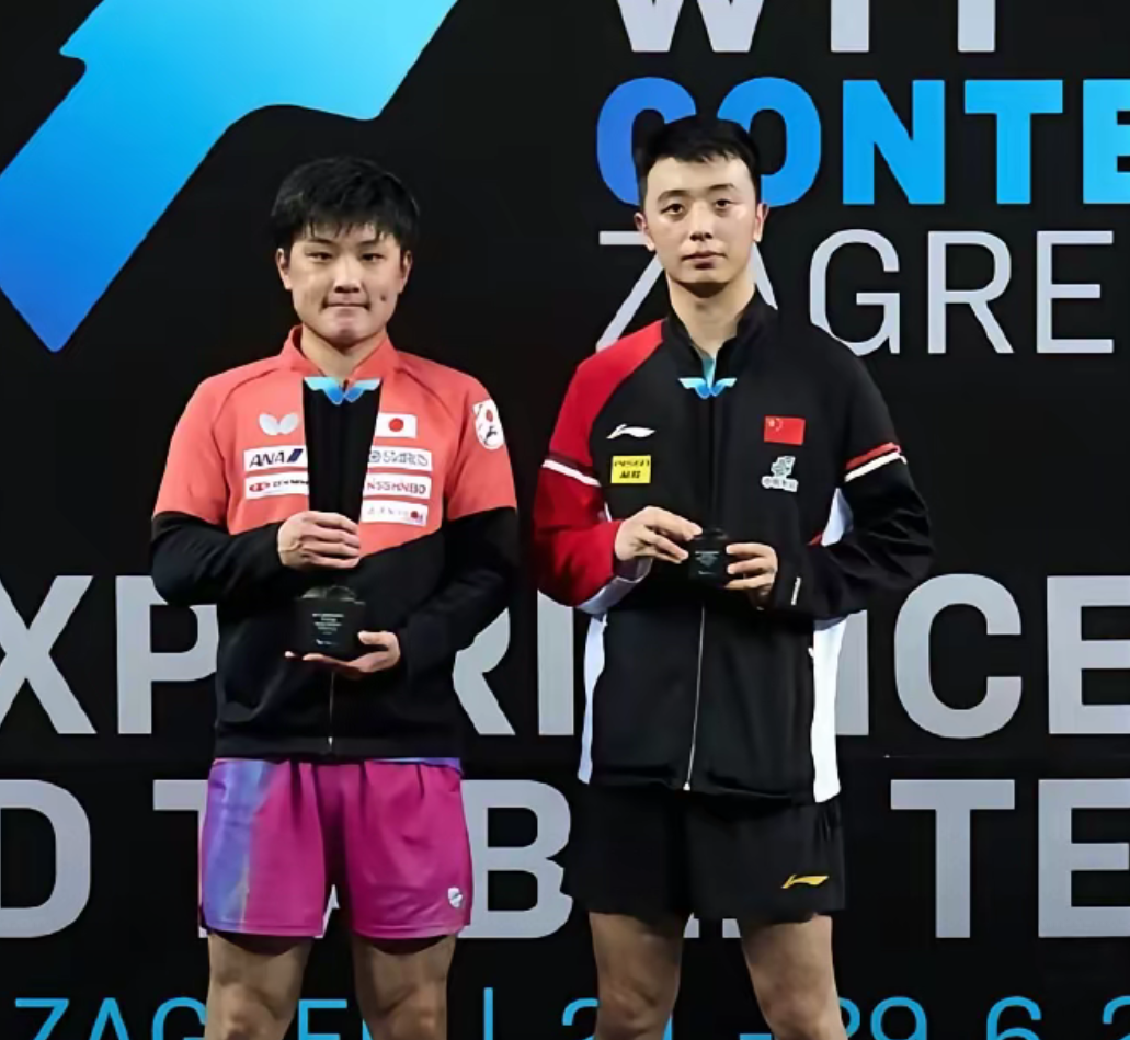 法国队翻盘中国队，张本智和点燃赛场的简单介绍