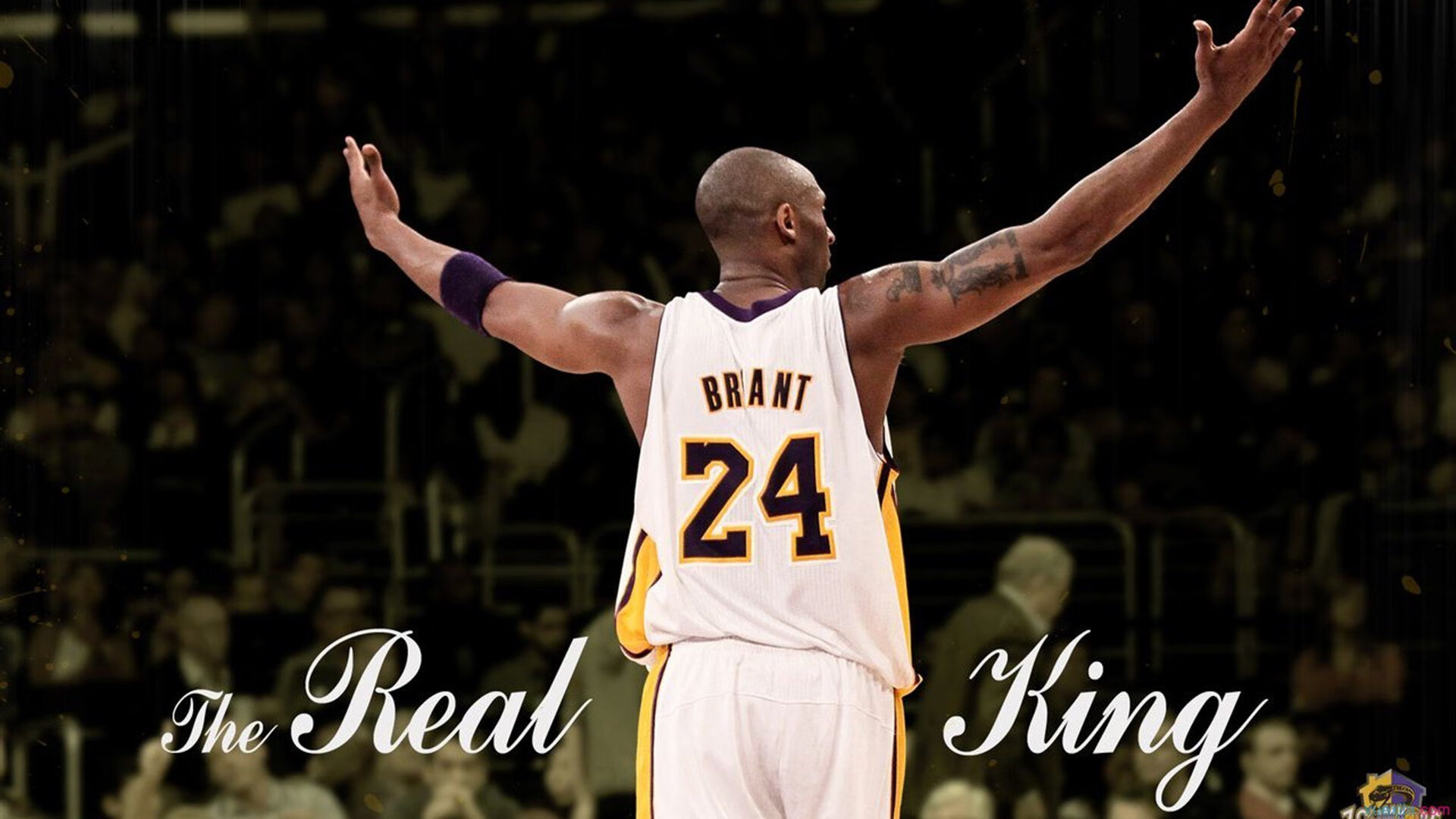 关键制胜，德约科维奇在ATP总决赛力克年终总决赛的传奇时刻